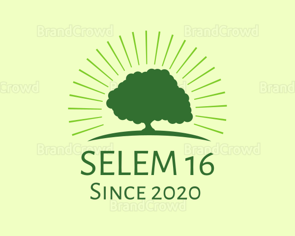 Green Bright Tree Logo