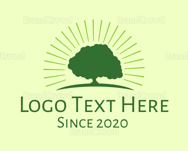 Green Bright Tree Logo