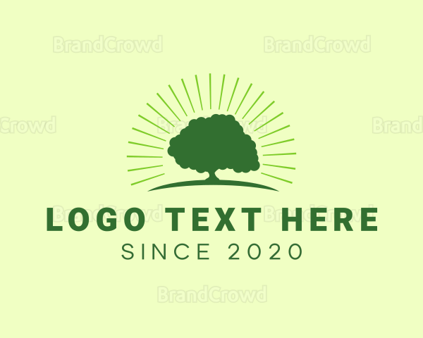 Green Bright Oak Tree Logo