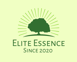 Environmental - Green Bright Tree logo design
