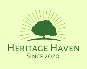 Ancestry - Green Bright Tree logo design