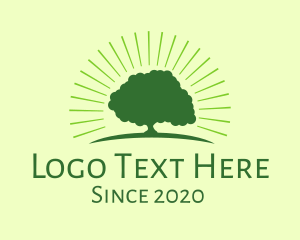 Hospice - Green Bright Tree logo design