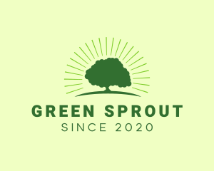 Green Bright Oak Tree logo design