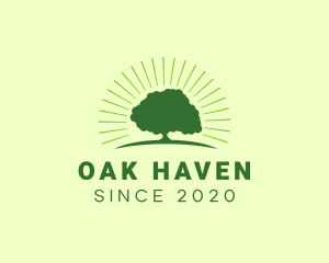 Green Bright Oak Tree logo design