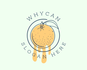 Orange Fruit Juice Logo