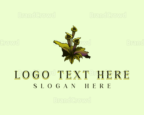 Georgia Swamp Plant Logo