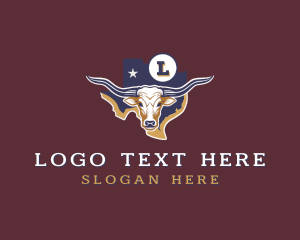 Texas - Texas Longhorn Rodeo logo design