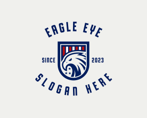 USA Eagle Organization logo design