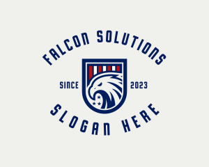 USA Eagle Organization logo design