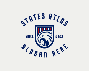 USA Eagle Organization logo design