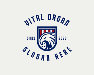 USA Eagle Organization logo design