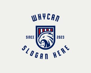Country - USA Eagle Organization logo design