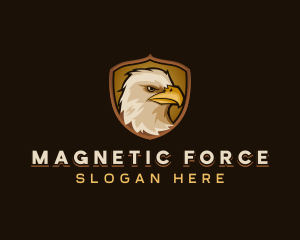 Eagle Falcon Bird logo design