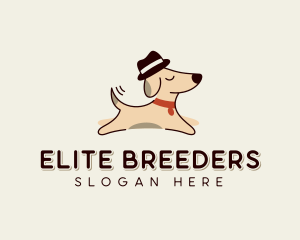 Dog Hat Pet Fashion logo design