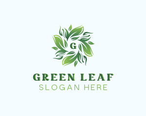 Environment Leaves Botanical logo design