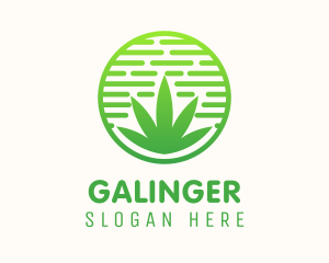 Circular Weed Cannabis Badge Logo
