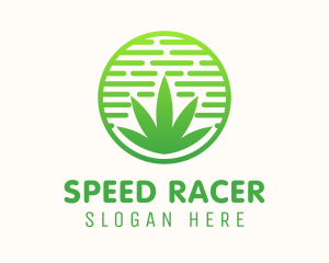 Circular Weed Cannabis Badge Logo