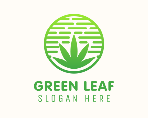 Circular Weed Cannabis Badge logo design
