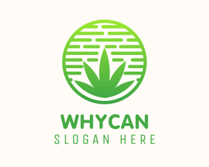 Therapy - Circular Weed Cannabis Badge logo design