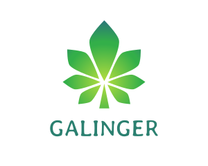 Gradient Polygon Cannabis  Logo