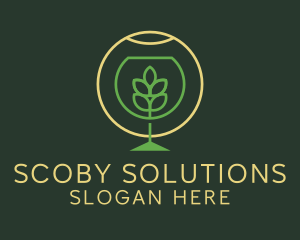 Herbal Fermented Drink logo design