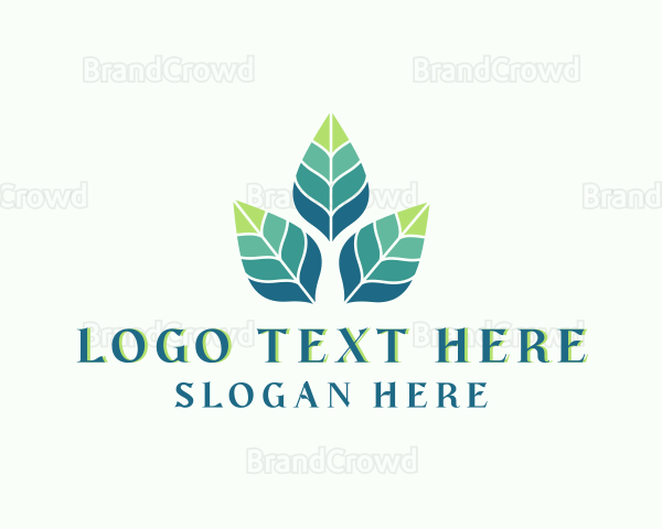 Eco Organic Leaf Logo