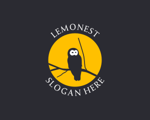 Branch - Moon Owl Branch logo design