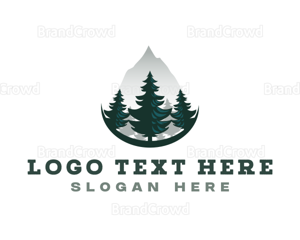 Pine Tree Mountain Forestry Logo