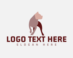 Dog Training - Tough Strong Pitbull logo design