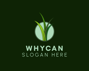 Grass - Botanical Garden Grass logo design