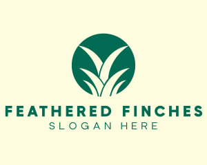 Pineapple Leaves Farm logo design