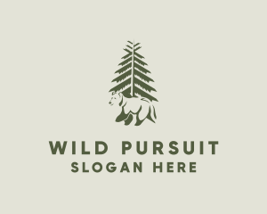 Wild Bear Forest logo design