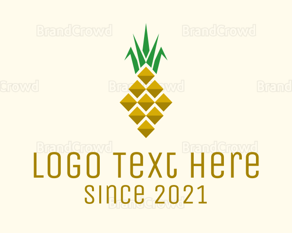 Geometric Modern Pineapple Logo