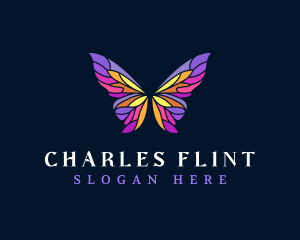 Butterfly Stained Glass Wing logo design