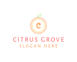 Orange Fruit Fresh Citrus  logo design