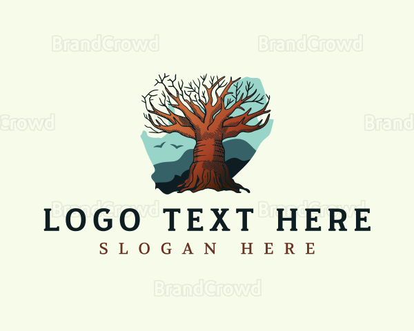 South Africa Baobab Tree Logo