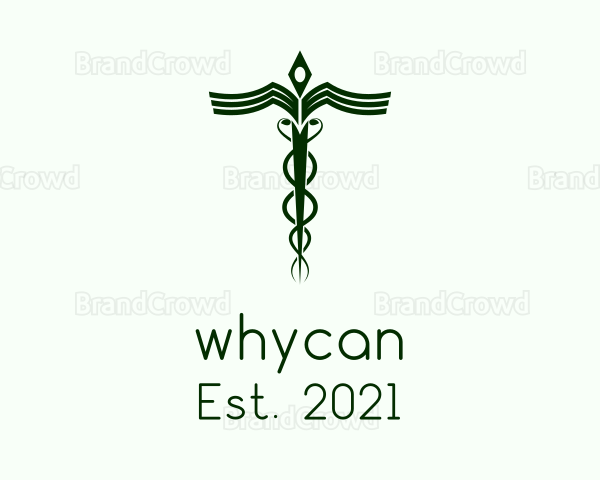 Medical Doctor Caduceus Logo