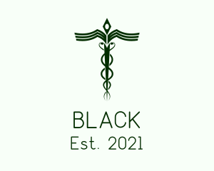 Medical Doctor Caduceus logo design