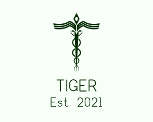Diagnostics - Medical Doctor Caduceus logo design