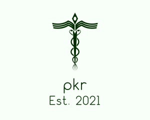 Symbol - Medical Doctor Caduceus logo design