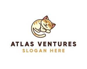 Pet Cat Vet logo design