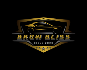 Automotive Car Detailing logo design