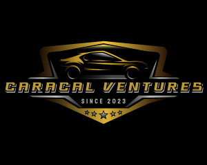 Automotive Car Detailing logo design