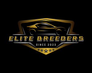 Automotive Car Detailing logo design