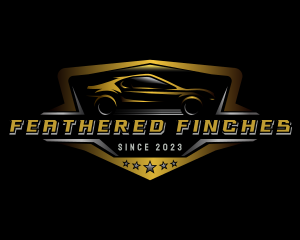 Automotive Car Detailing logo design