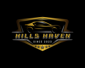 Automotive Car Detailing logo design