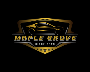 Automotive Car Detailing logo design