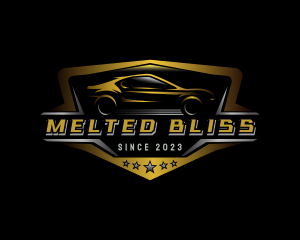 Automotive Car Detailing logo design