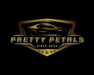 Automotive Car Detailing logo design