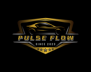 Automotive Car Detailing logo design